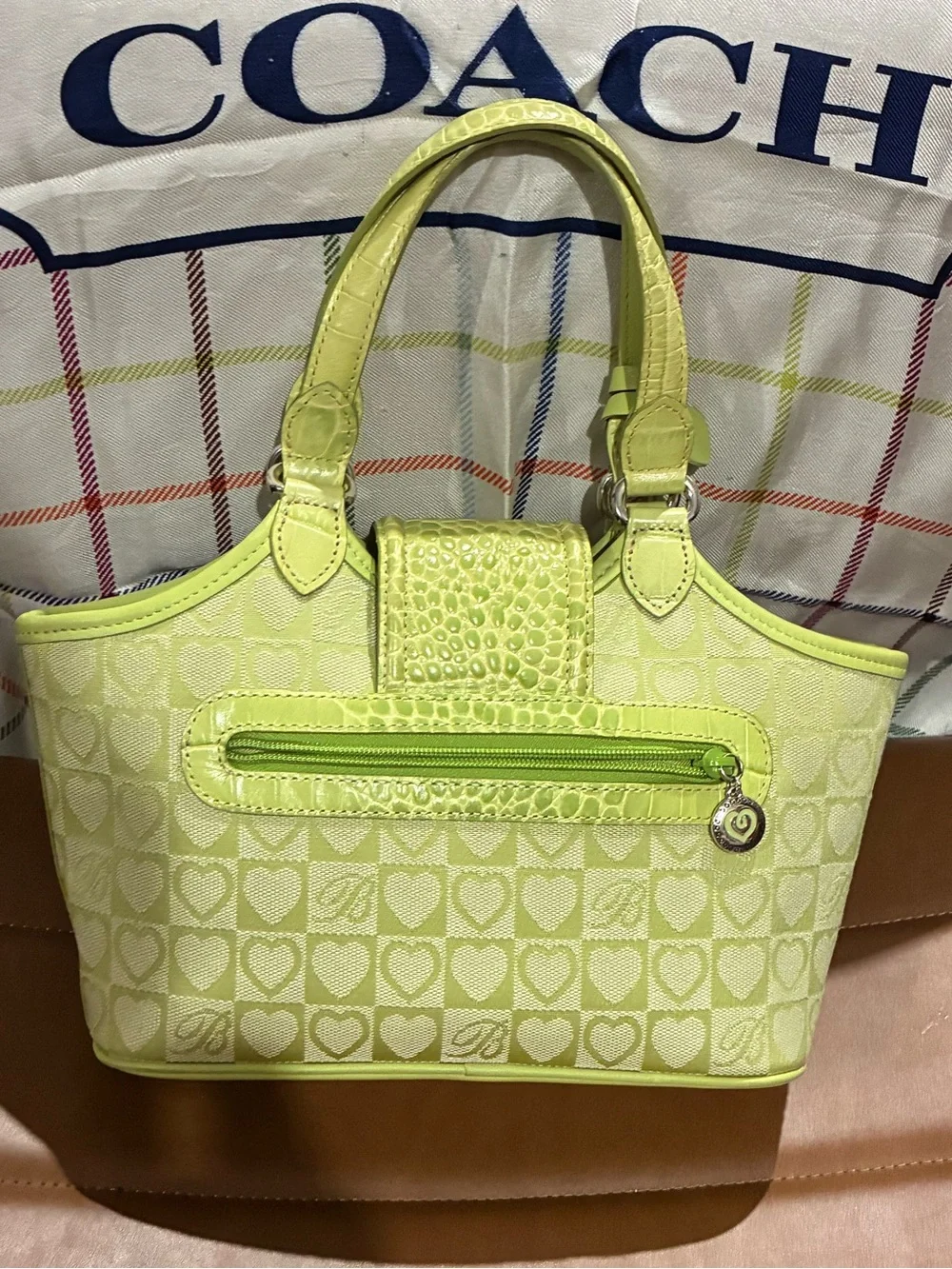 Brighton coach shoulder